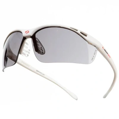 Image of Gearbox Vision Eye Protection with Hard Case