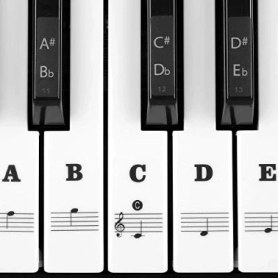 Image of MUYOS Piano Stickers for 54/61/76/88 Key Keyboards [Transparent and Removable] Full Set White Black Keys (Black)