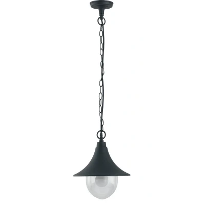 Image of PAVIA Outdoor Pendant Ceiling Light Black, IP44 26cm