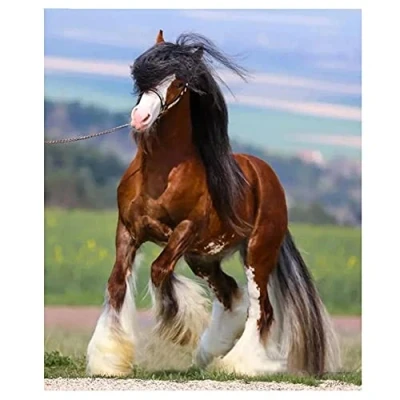 Image of 5D Diamond Painting,Horse DIY Large Size Painting Kits for Adults Kids, Mosaics Art Embroidery Paintings Cross Stitch Craft, Home Wall Decor Gifts Square Drill 30x40cm(12x16inch)