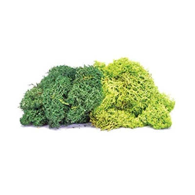 Image of Hornby R7195 Lichen Large Green Mix for Model Railway OO Gauge, Train Accessories Adding Scenery, Dioramas, Woodland, Buildings and More, Making Kits 1:76 Scale Accessory