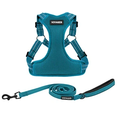 Image of Best Pet Supplies Voyager Adjustable Dog Harness Leash Set with Reflective Stripes for Walking Heavy Duty Full Body No Pull Vest D Ring, Breathable All Weather (Turquoise), XS