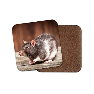 Image of 1 x Adorable Pet Rat Coaster Rats Rodent Mice Cute Fun Mouse Kids #8686