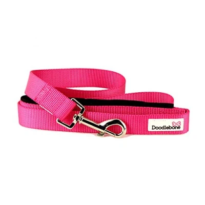 Image of Doodlebone Dog &amp; Puppy Leads 10 Bold Colours/3 Sizes (Small, Neon Pink)