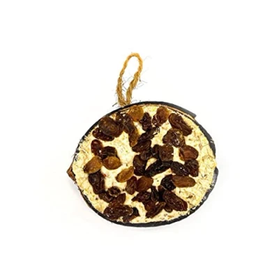Image of Chubby Suet Half Filled Coconuts Topped with Raisins, Bird Feeder Coconut Halves, for Wild Birds, Shell Birds Food, Blackbirds, Woodpeckers, Starlings &amp; Sparrows (1 Pack)