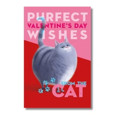 Image of Secret Life Of Pets Valentine&#039;s Day Card, Purfect Wishes from the Cat, Valentines Card Cat