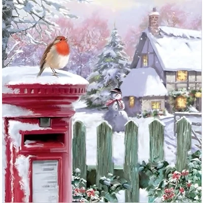 Image of Noel Tatt Charity Christmas Cards Pack of 10 with Robin and Snowy Cottage Design Eco Friendly Xmas Multipack Envelopes