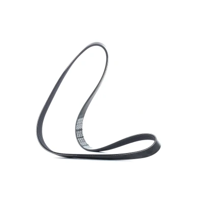 Image of 11920CA000 V ribbed belt DAYCO 6PK1076 1076,0mm 6 VOLKSWAGEN: Polo Hatchback, Golf 4, IV SEAT: Ibiza 3, Leon I Hatchback