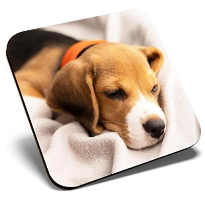 Image of Great Single Coaster Square Cute Beagle Puppy Sleeping Dog Glossy Quality Coasters Tabletop Protection for Any Table Type #21411