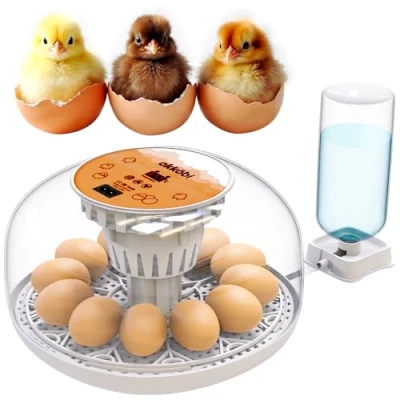 Image of M12 Egg Incubator with Automatic Turning and Humidity Control 12/24 Eggs, 360 View, Easy to Use Clean (White Orange)