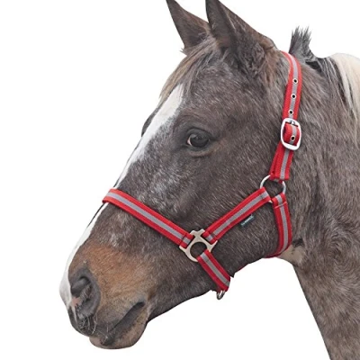 Image of Shires Wessex Nylon Headcollar Red/Silver Foal