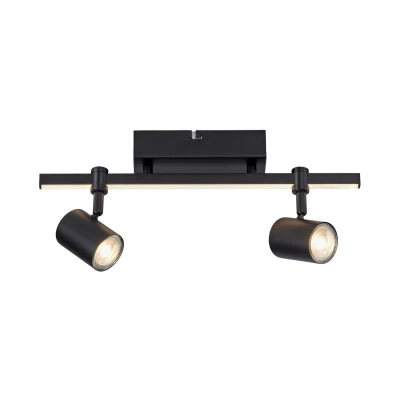 Image of Paul Neuhaus LED downlight Barik, 40 cm, adjustable