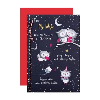Image of Hallmark Christmas Card, Wife Cute Owl Designs, Gold Foil Details, Navy