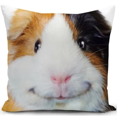Image of KUNQIAN Guinea Pig Cushion Cover Pillow Decorations Gifts for Women Ornaments Accessories Decor Home Livingroom Couch Sofa 18&quot;x18&quot;(45x45cm)