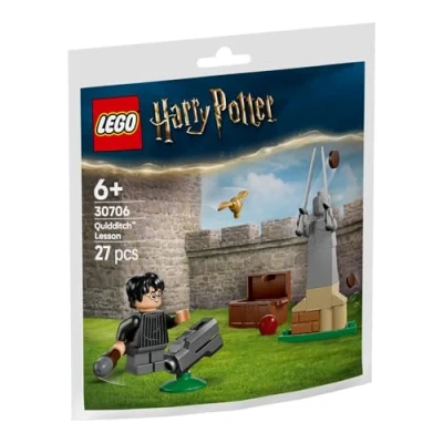 Image of LEGO Harry Potter Quidditch Lesson, 27 Pieces, Ages 6+, Paper Bag Building Set 30706