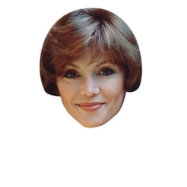 Image of FoxyPrinting Pam Ewing Dallas Celebrity Cardboard Party Face Mask Fancy Dress