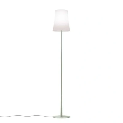 Image of Foscarini Birdie Easy Reading Floor Lamp Green