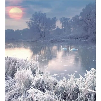 Image of Woodmansterne Pack of 5 Artistic Charity Christmas Cards Peace and Joy Lovely Photographic Winter Lake Scene 1 Design