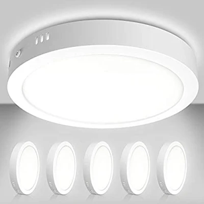 Image of 5X Modern Round Surface 24W LED Ceiling Light AC 220 240V Daylight White 6500K Lamp for Living Room Bedroom Kitchen Balcony Hallway Garage (5X Panels)