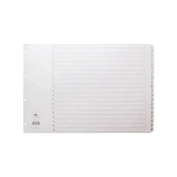 Image of Concord Classic Index Mylar reinforced Punched 4 Holes 04801/CS48