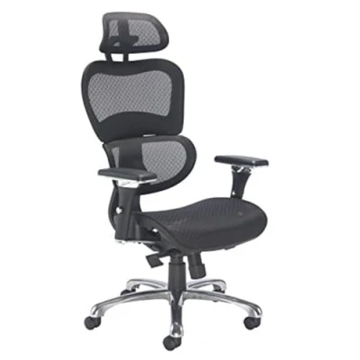 Image of Office Hippo Ergonomic Chair Office, with Back Support, Arms, Mesh, Swivel, Black