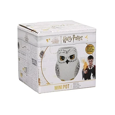 Image of Harry Potter Mini Pot Hedwig Owl Décor Gifts For Adults