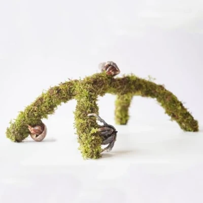 Image of Begeterday Hermit Crab Climbing Toys, Ideal Habitat Tank Accessories，Adjustable Supplies