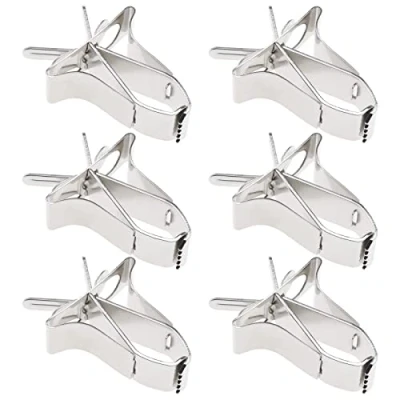 Image of Create idea 6pcs Bird Fruit Clip Cage Feeder Vegetable Holder Stainless Steel for Hamster Cockatiel Parrot Small Animals