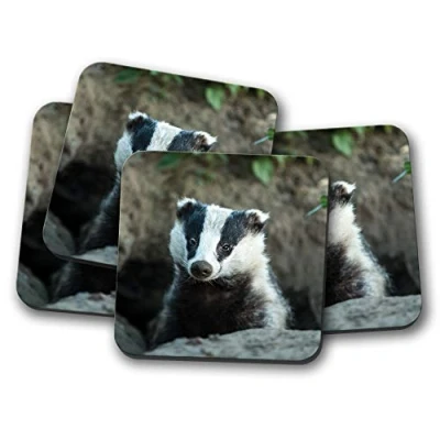 Image of 4 Set Badger Sett Coaster British Wildlife Wild Animal Forest #15810