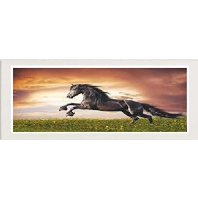 Image of White Panoramic Picture Frame Photo Poster Glass Real Wood 18&#039;&#039; x 8&#039;&#039;