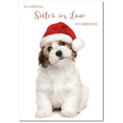 Image of doodlecards Sister in Law Christmas Card Dog and Santa Hat Large A4 Size for with Plain Envelope