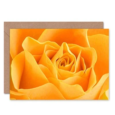 Image of Wee Blue Coo GREETINGS CARD BIRTHDAY GIFT NATURE PHOTO FLOWER YELLOW ROSE