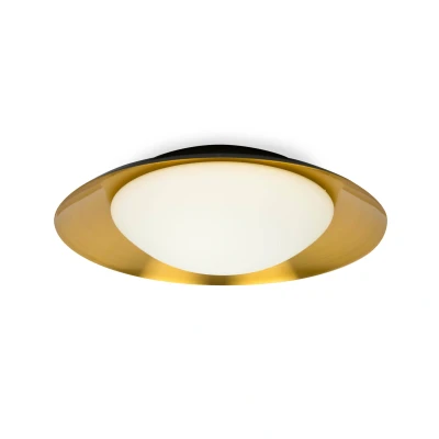Image of Side Led Black/Copper Ceiling Lamp 20W