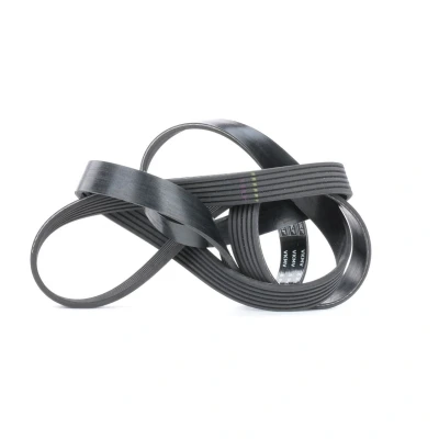 Image of 55218886, 6000611039, K04891974AC V ribbed belt SKF VKMV 6PK1670 1670mm 6 FORD: Transit Mk6 Van, Caja / Chasis, Minibus