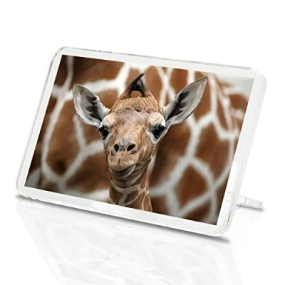Image of 1 x Fridge Magnet Baby Giraffe Classic Wild Animal Africa Safari 12323