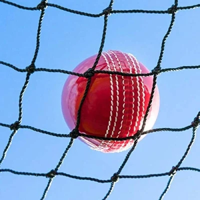 Image of Cricket Netting 50 Net Only [Net World Sports] Backstop/Ball Stop/Surround/Sports Nets (5 x 5)