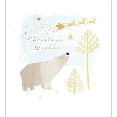 Image of Pack of 5 Xmas Polar Bear Charity Christmas Cards Supporting Multiple Charities 493676