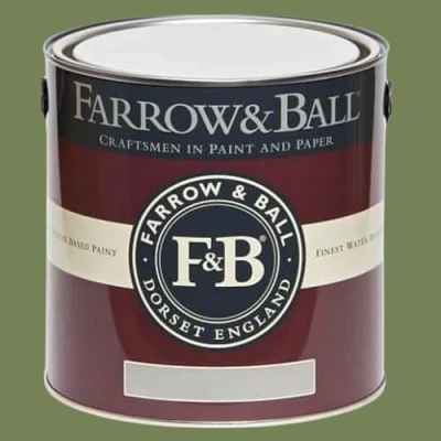 Image of Farrow and Ball Exterior Eggshell, Sap Green No. W56 2.5L