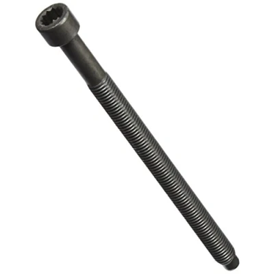 Image of 038103384C10x Cylinder Head Bolt Kit REINZ 14 32122 01 Female Star VOLKSWAGEN: Golf 4, 4 Variant, Bora Saloon, SEAT: Leon I Hatchback