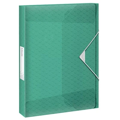 Image of Esselte A4 Box File, Holds 200 Sheets, 25mm Spine, Translucent Document Storage Organiser Folder, Home/Office, Embossed Pattern, Colour&#039;Breeze Range, Green, 626260