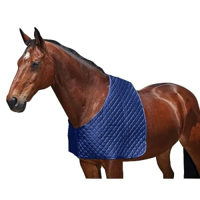 Image of WeatherBeeta Deluxe Shoulder Guard, Navy, Mini