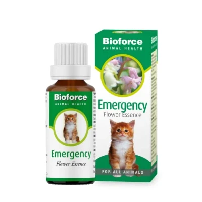 Image of Animal Emergency Flower Essence Designed for use with All Types of Animals Help Calm &amp; Steady your Pet in Times Crisis 30ml
