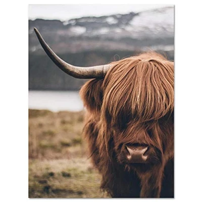 Image of HERWS Big Poster Highland Cow Wild Animals Canvas Cattle Posters And Print Nordic Wall Art Picture For Living Room Home Bedroom Kitchen Decoration