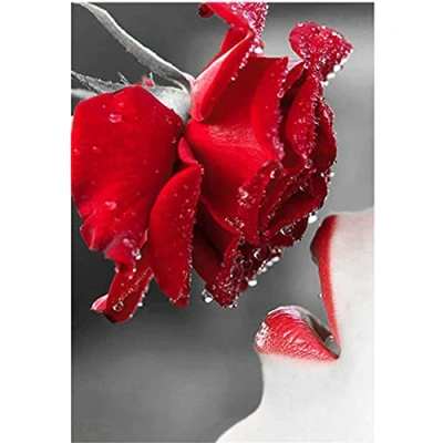 Image of DIY 5D Diamond Painting Kits Full Drill, Paint by Numbers for Adults,Crystal Rhinestone Cross Stitch Embroidery Arts Crafts Home Wall Decor Rose Red Lips Round 30x40cm