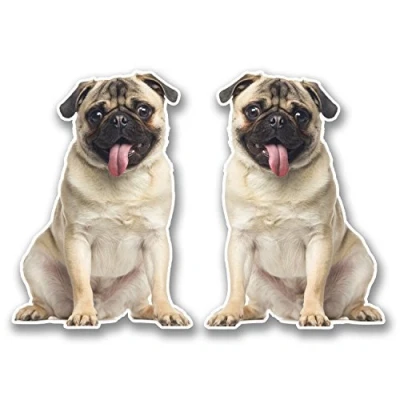 Image of 2 x 10cm Tan Pug Vinyl Sticker Decal Laptop Tablet Car Dog Animal Fun #6297 (7cm Wide Tall)
