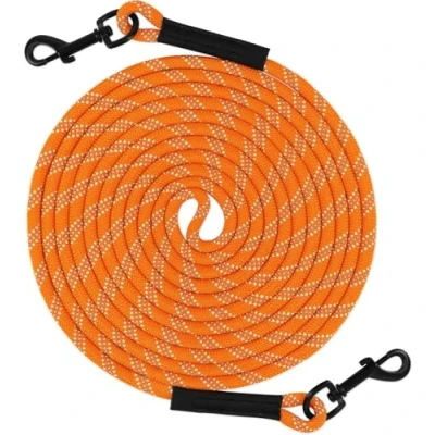 Image of Taglory Training Lead for Dogs 10 m, Reflective Long Dog Rope Tie Out, Tether Small Medium Large Dogs, Orange