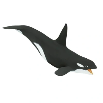 Image of Killer Whale
