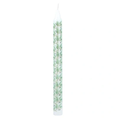 Image of Gisela Graham Fir Sprigs and Berries Advent Candle 23cm