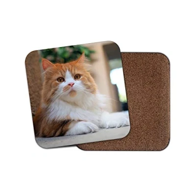 Image of 1 x Cute Ginger Cat Coaster Kitten Cats Pretty Fluffy Mum Gran Auntie #15289
