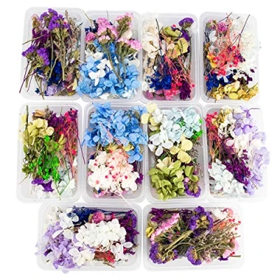 Image of Uoeo 3 Boxes Dried Flowers 3D Real Nail Mixed Natural DIY Art Floral for Candle Epoxy Resin Pendant Jewelry Making, Random Color